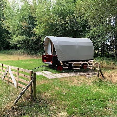 Huifkar In Landelijke Omgeving De Mersken 9 Ureterp Zewnętrze zdjęcie