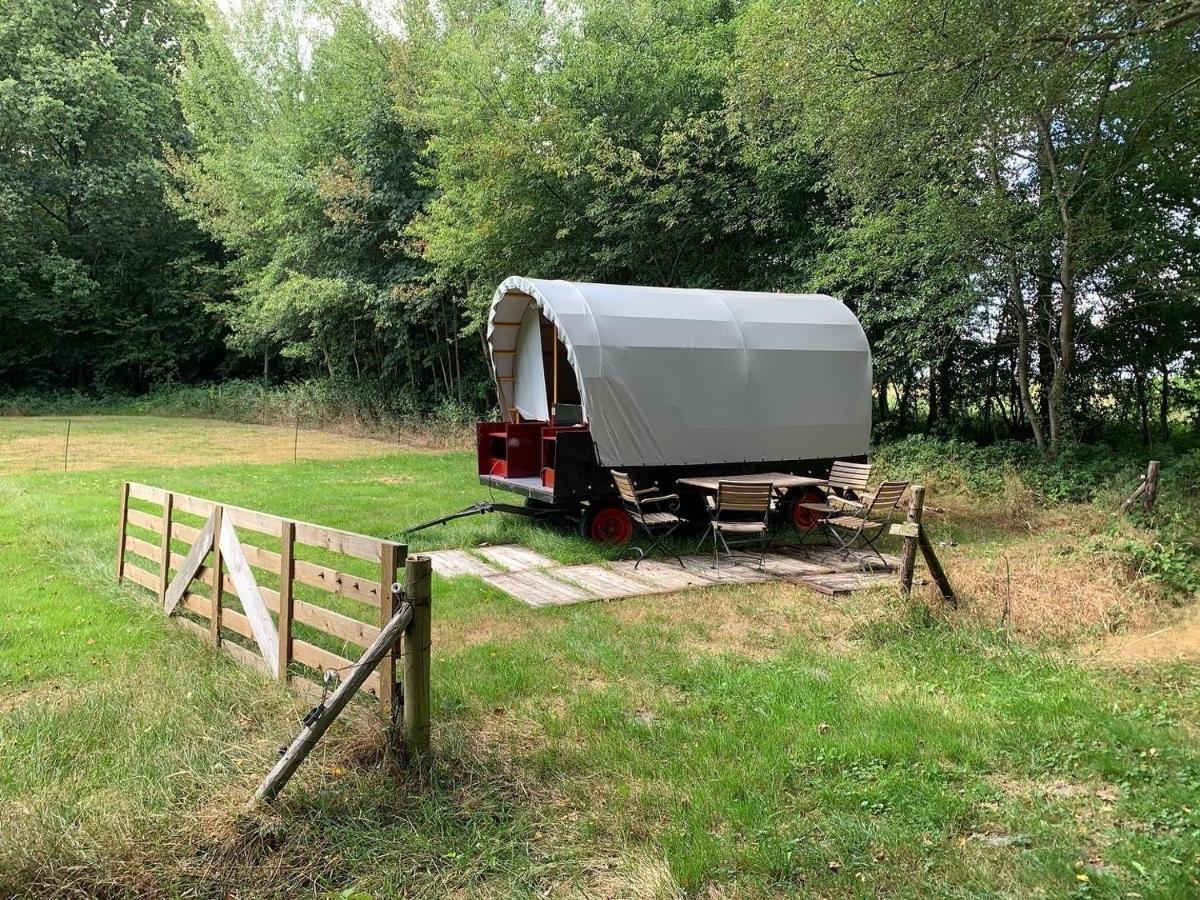 Huifkar In Landelijke Omgeving De Mersken 9 Ureterp Zewnętrze zdjęcie